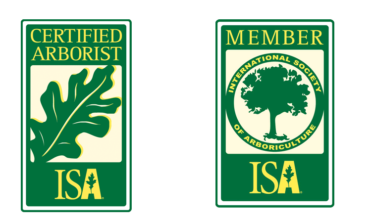 member Abortist